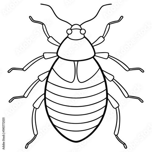 Bedbug insect flat vector illustration on a white background