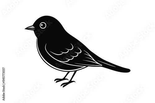 Adorable Eastern Bluebird on White Background