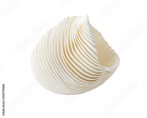 Isolated White Spiral Seashell