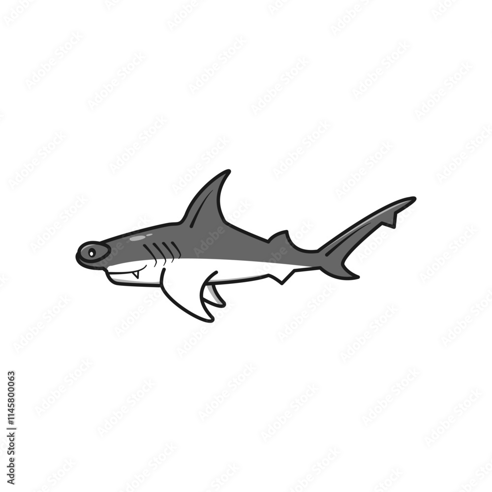 hammer shark on a white background hammer shark on a white background