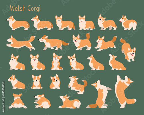 A collection of various Welsh Corgi movements.