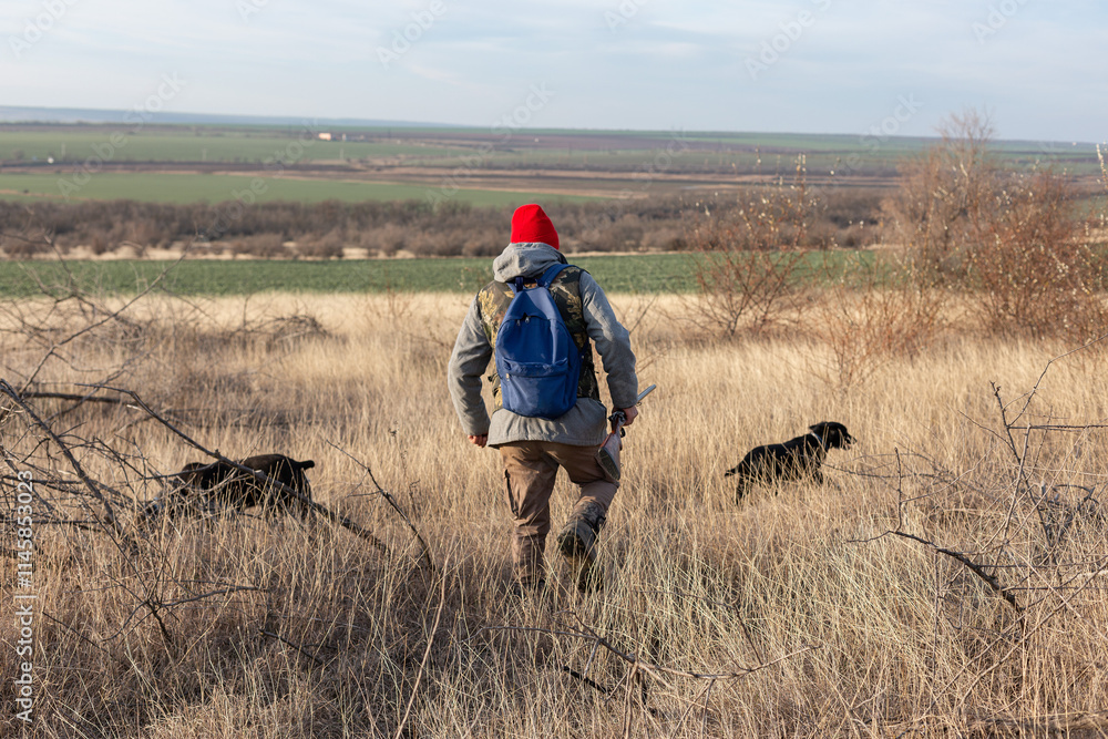 Mature hunter man holding a shotgun and walking through a field