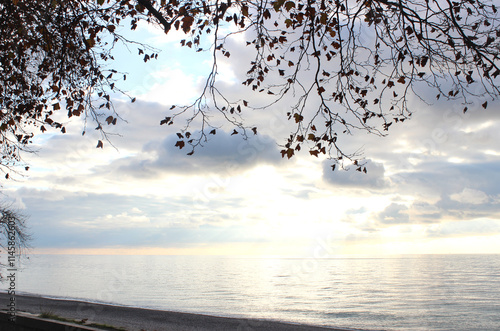 Sea view in autumn. Abkhazia, Gagra