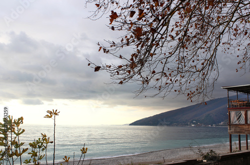 Sea view in autumn. Abkhazia, Gagra