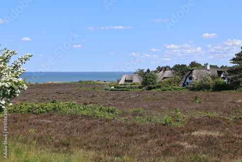 Blick auf die Braderuper Heide auf der Nordseeinsel Sylt	 photo