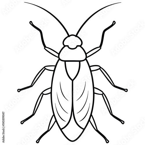 Cockroach insect flat vector illustration on white background