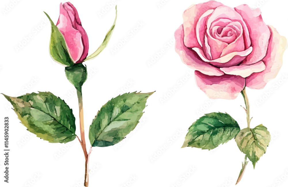 Obraz premium set of roses