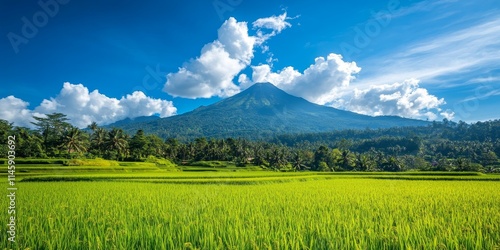 Vibrant rice field adorned with fruit, set against a majestic mountain backdrop under a clear blue sky filled with clouds. Experience the beauty of this rice field in nature s splendor. photo