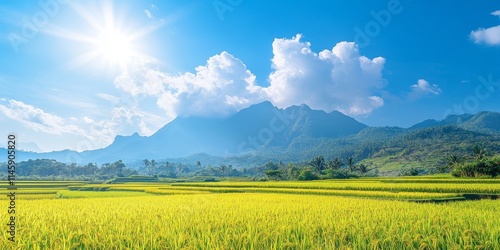 Vibrant rice field adorned with fruit, set against a majestic mountain backdrop under a clear blue sky filled with clouds. Experience the beauty of this rice field in nature s splendor. photo