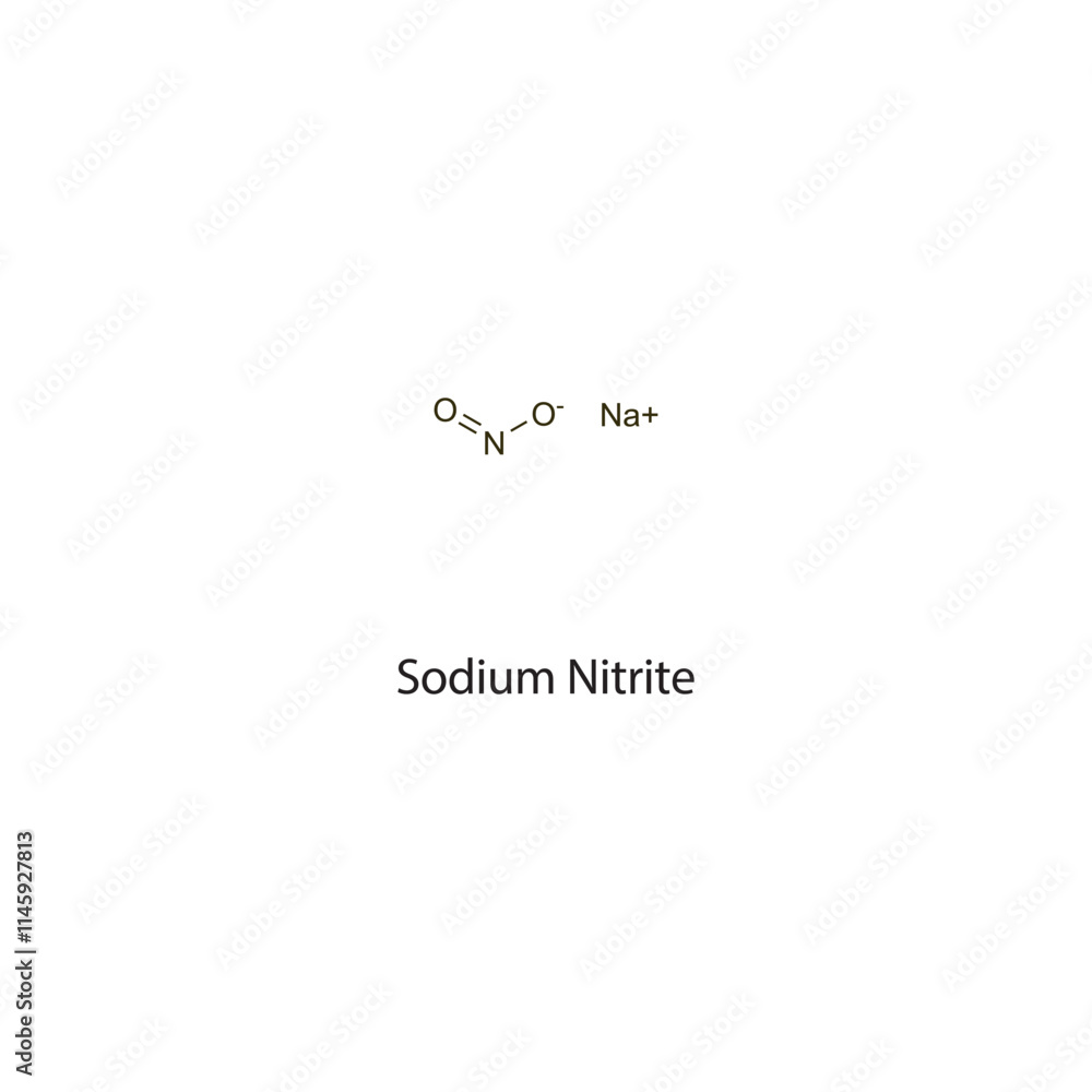 Fototapeta premium Sodium Nitrite flat skeletal molecular structure cholinesterase reactivator drug used in cyanide poisoning treatment. Vector illustration scientific diagram.
