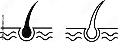 Hair follicle cosmetic line and flat icon set. Vector include skincare frizzy repair revitalizing scalp dandruff follicle outline pictogram for trichology collection isolated on transparent background