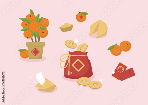 A collection of  Chinese new year items. Tangerines, fortune cookie, money bag, coins, money pocket. Cartoon vector illustration.