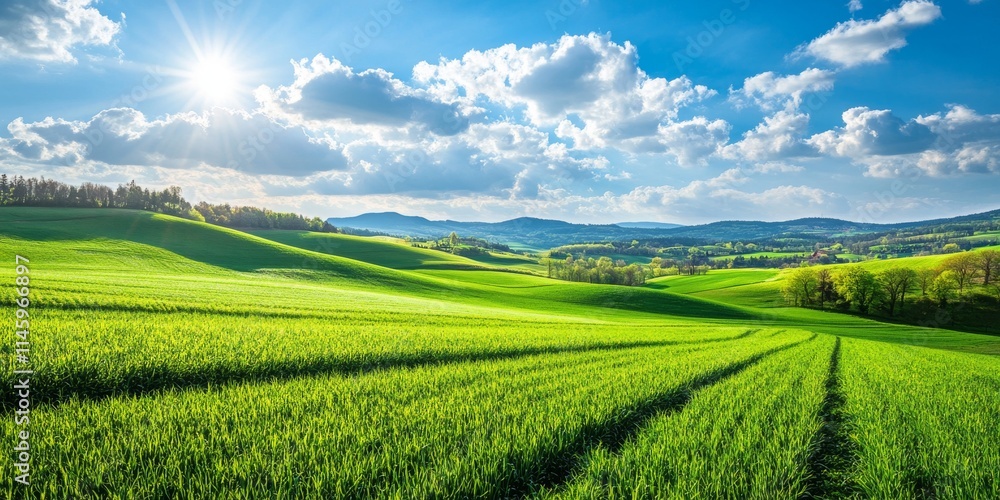 Fototapeta premium Vibrant green fields and a bright blue sky create stunning rural landscapes. Experience the beauty of green fields and blue sky in this picturesque rural setting.