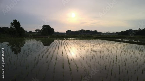 田園　右方向へトラック