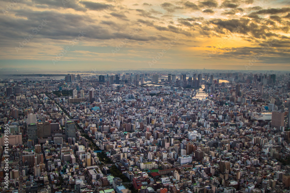 Fototapeta premium Tokyo