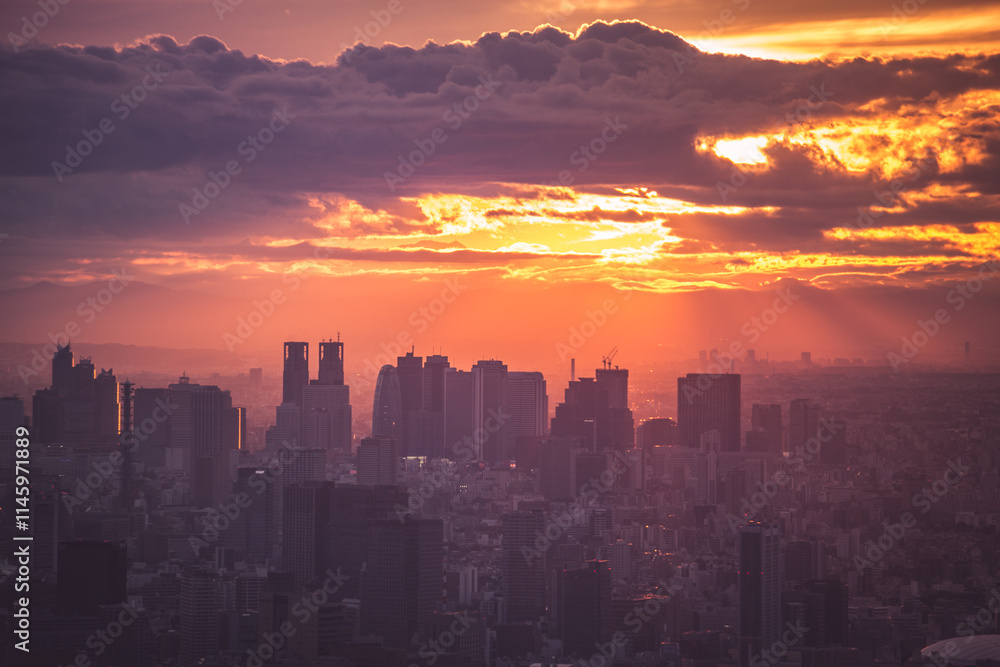 Obraz premium Tokyo
