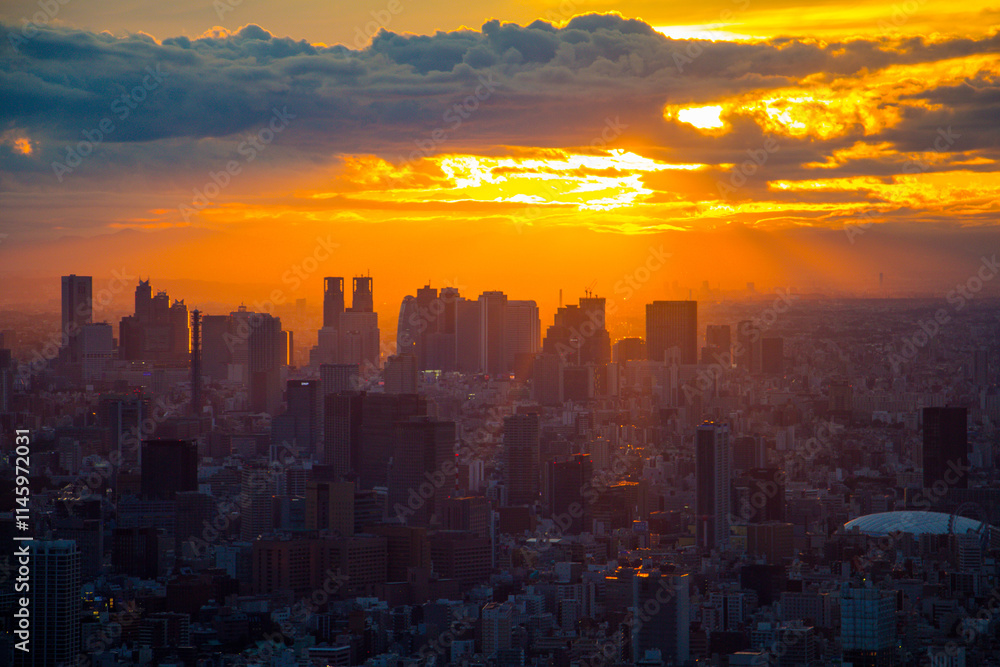 Fototapeta premium Tokyo