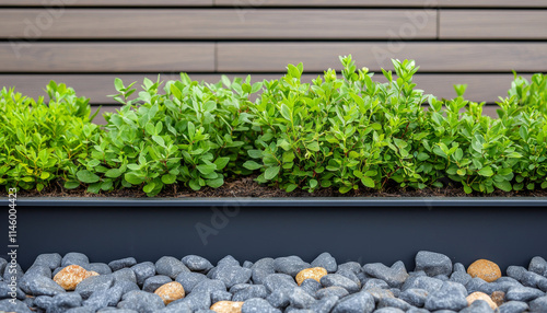 Lush green plants in modern planter with decorative s nes below photo