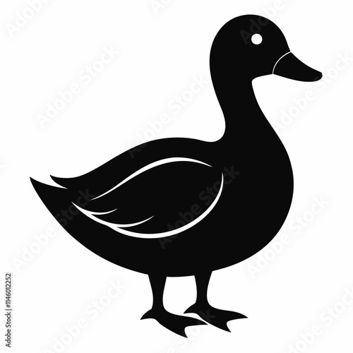 duck isolated on white