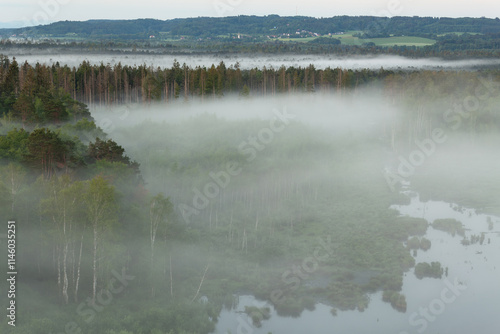 Pfrunger Ried, moor in Upper Swabia near Wilhelmsdorf, southern Germany, sunrise, fog photo