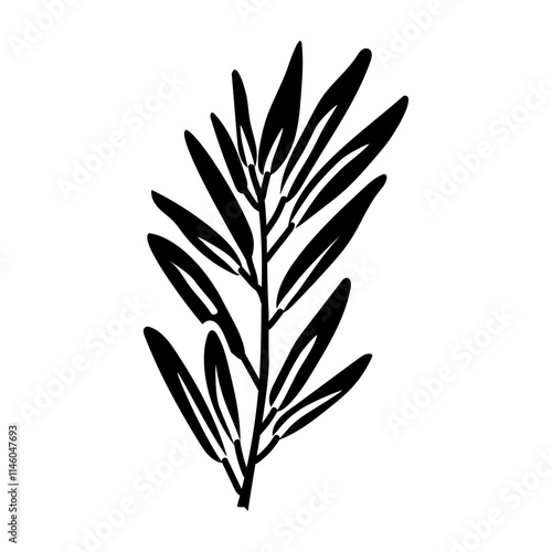 branch of rosemary. Culinary seasonings and spices, hand-drawn. A of sketches in small details. A black outline on a white background. Vector illustration. Seasonings, spices, food additives