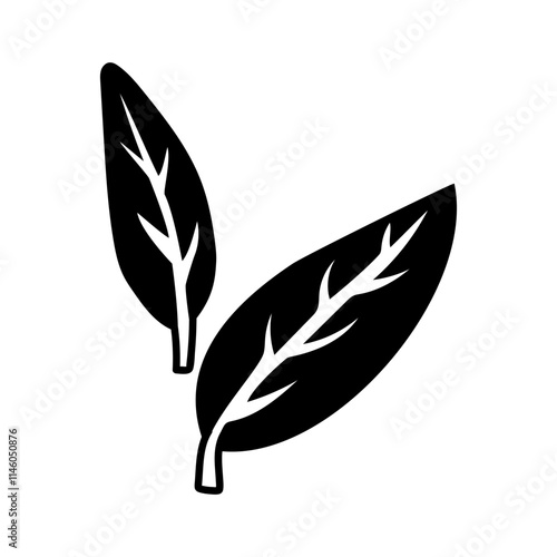 Bay leaf, leaf silhouette. Culinary seasonings and spices, hand-drawn. of sketches in small details. A black outline on a white background. Vector illustration. Seasonings, spices, food additives