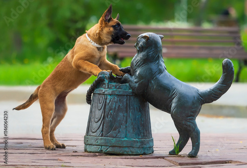 Belgian shepherd malinois puppy with metal sculpture of a cat, Serpukhov, Russia