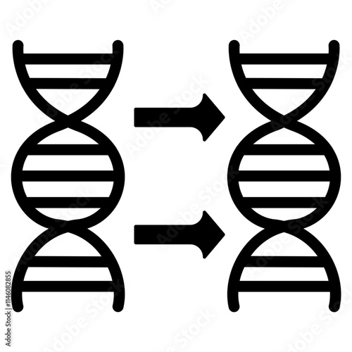 DNA replication Solid Icon