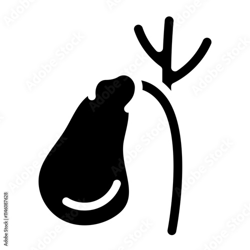 Gallbladder Solid Icon