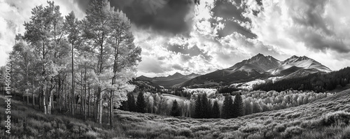 Wallpaper Mural Fall Aspen Forest in Black and White Panoramic Mountain Landscape. Golden tree leaves of a fall aspen forest contrasted against a black and white panoramic landscape scene in Colorado  Torontodigital.ca
