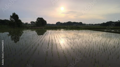 田園　前方向へトラック