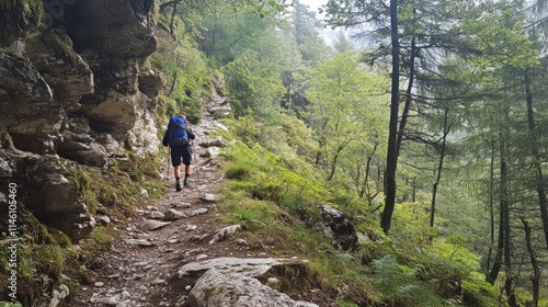 Hiker Trekking Through Mountainous Forest Trail