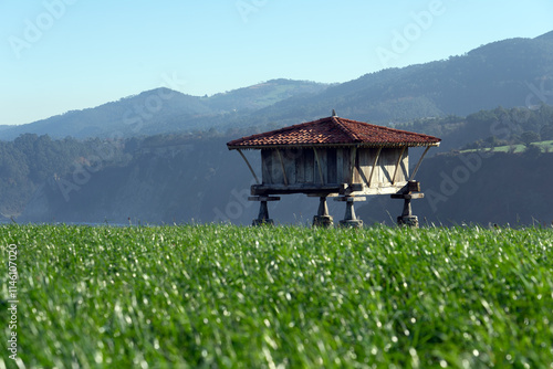 Cuadro en lienzo Typical Asturian horreos in Cadavedo, Asturias, Spain