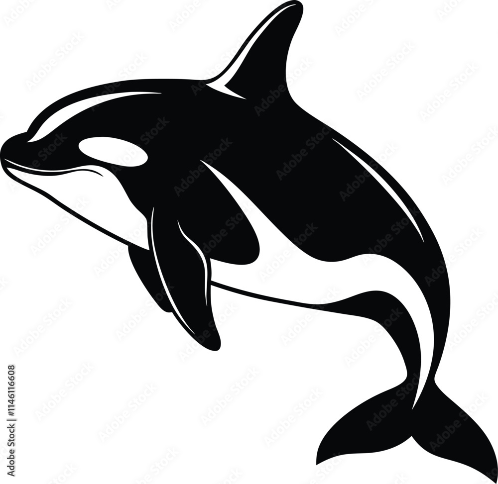Obraz premium Killer Whale Spirit Orca Jumping Vector illustration isolated on white background 