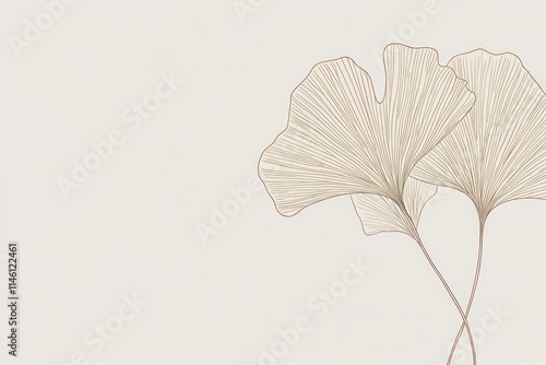 Minimalist illustration of three beige ginkgo leaves on a light gray background.
