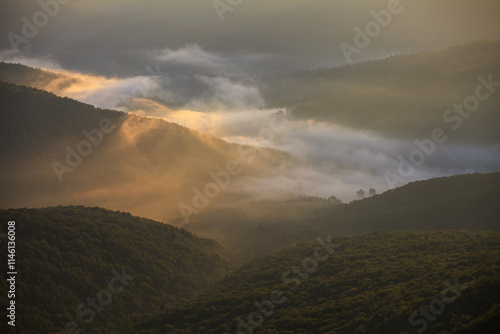 Fototapeta Naklejka Na Ścianę i Meble -  fog in the mountain valley