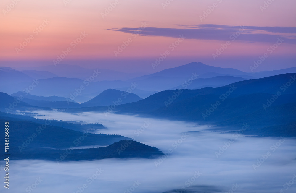 fog in the mountain valley fog in the mountain valley