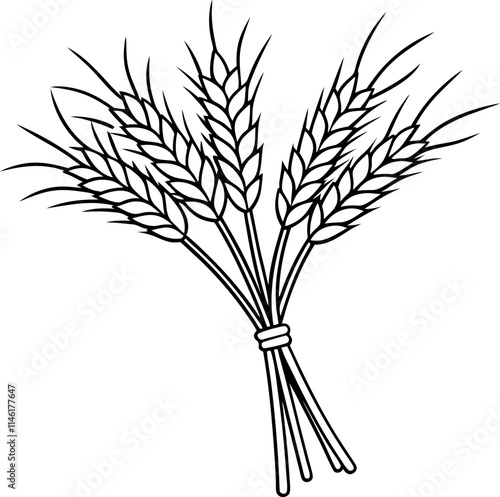 Wheat Ears Sheaf Vector Illustration