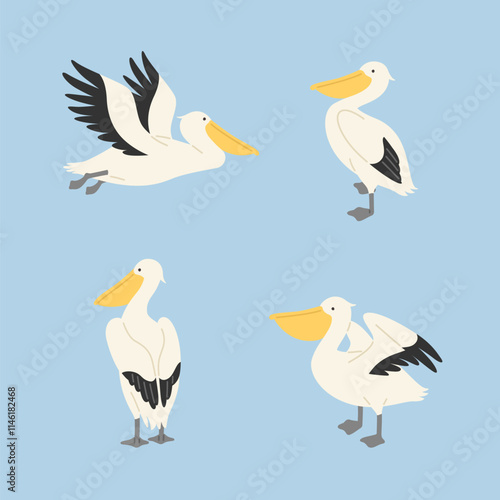 Collection of cute pelican characters
