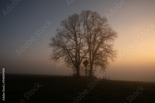 Idylle zum Sonnenaufgang und Nebel. Feldkreuz und zwei Linden werden von der aufgehenden Sonne angestrahlt. 