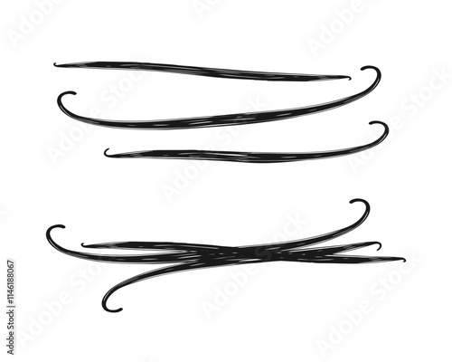 Vanilla pod sticks. Set of vanilla sticks for design. Sketch stylized drawing isolated on white background.