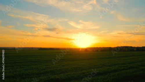 Scenic sunset over green field. A breathtaking sunset over a vast green field with vibrant orange and yellow hues filling the sky.