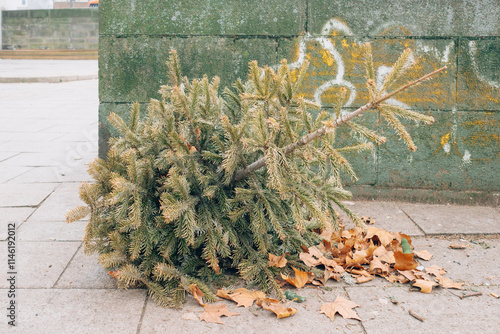 Christmas tree in front of the wall