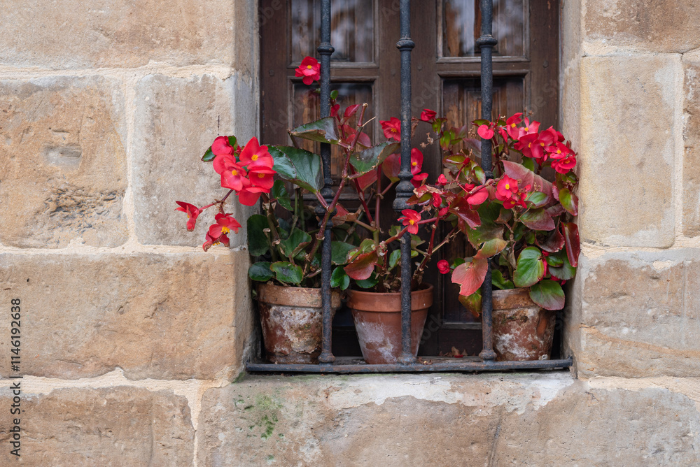 Fototapeta premium Window with plants on rural facade