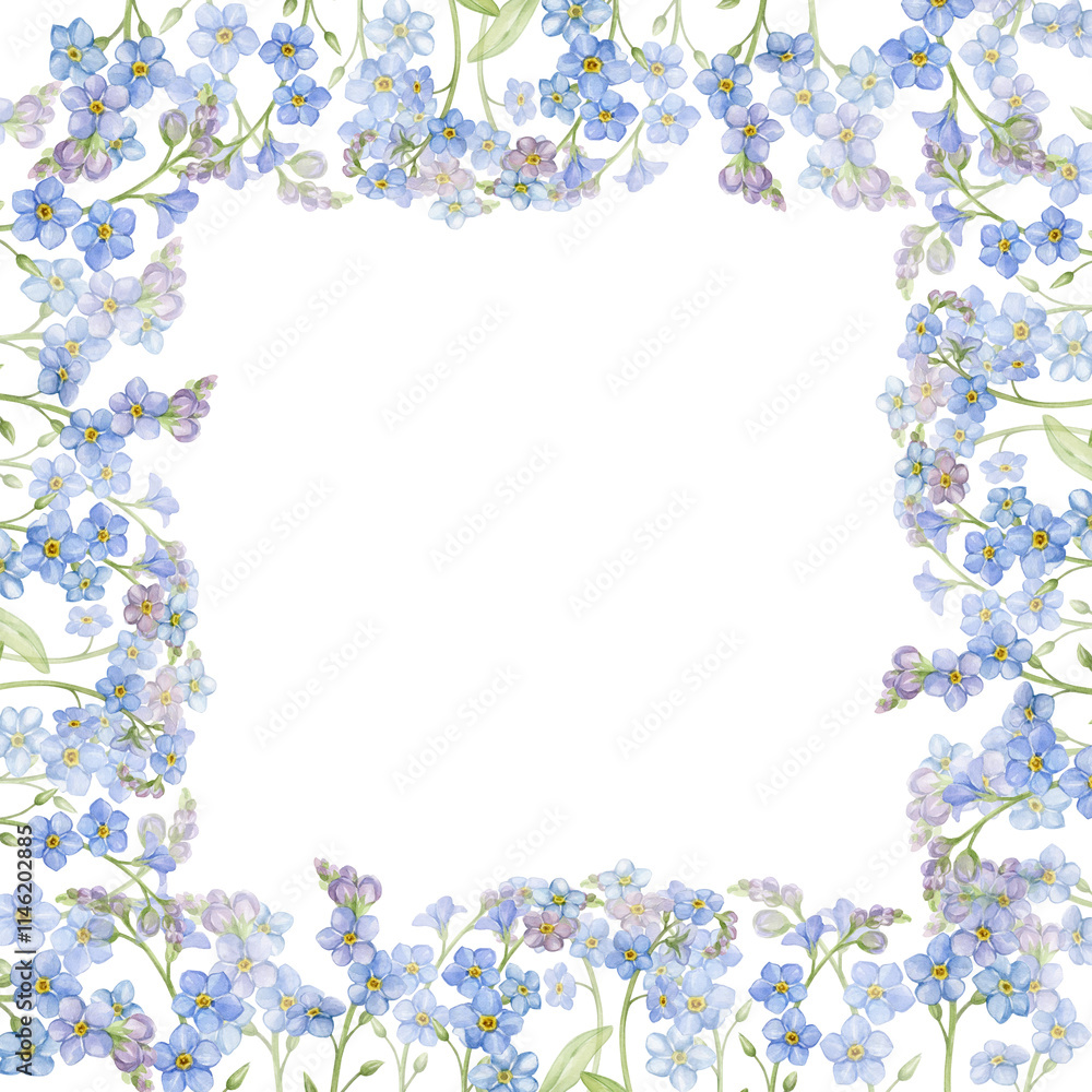 Blue flowers in a square frame. Spring forget-me-nots - watercolor illustration hand drawn and isolated on a white background. Blue flowers in a square frame. Spring forget-me-nots - watercolor illustration hand drawn and isolated on a white background.