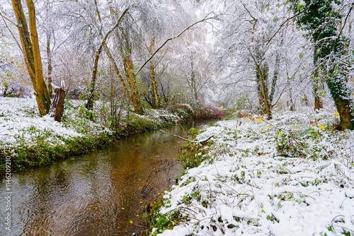 Melting snow falls from trees into a shallow woodland stream.