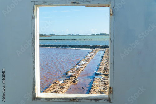 Formentera lago salado de la Savina, Salinas de Ferrer, con flamencos