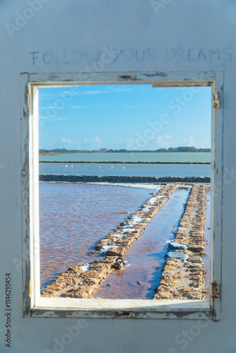 Formentera lago salado de la Savina, Salinas de Ferrer, con flamencos