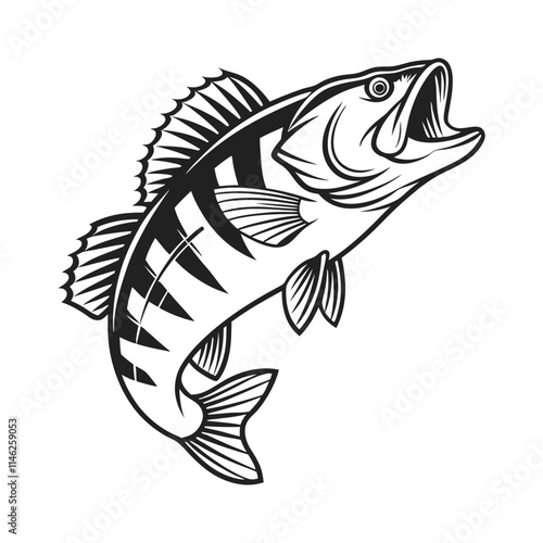 American Yellow Perch Fish Vector Art and Illustration