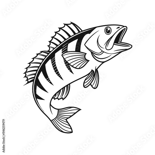 American Yellow Perch Fish Vector Art and Illustration